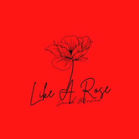 Like a Rose | Boomplay Music