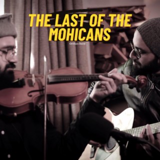The Last Of The Mohicans Theme Cover