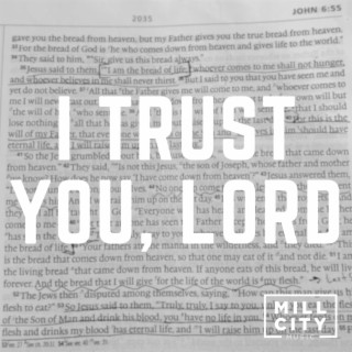 I Trust You, Lord ft. Matt Freeman lyrics | Boomplay Music