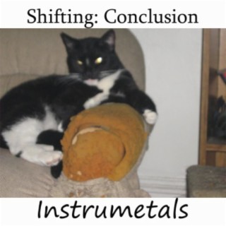 Shiifting: Conclusion (Instrumental)