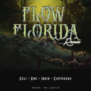 Flow Florida (Remix)