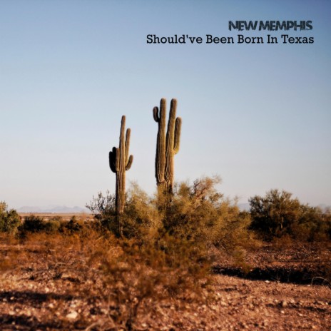 Should've Been Born in Texas | Boomplay Music