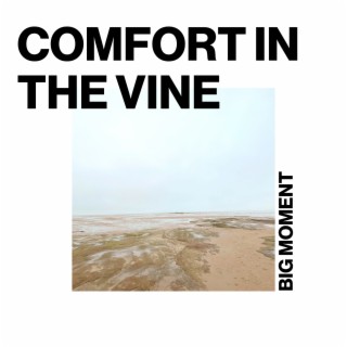 Comfort In The Vine lyrics | Boomplay Music