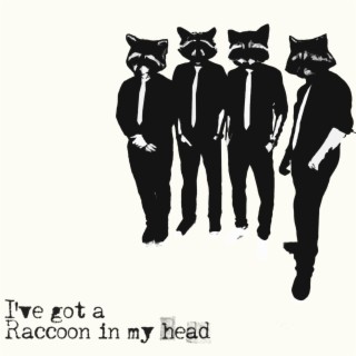 Raccoon lyrics | Boomplay Music