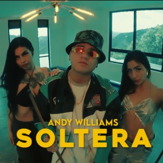 SOLTERA / ANDY WILLIAMS