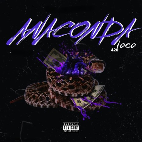 Anaconda | Boomplay Music