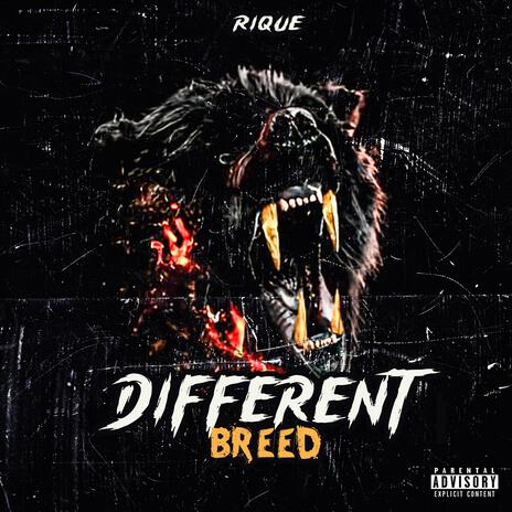 Different Breed | Boomplay Music