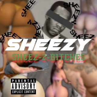 Sheez2Hoes ft. SPR Sheezy lyrics | Boomplay Music