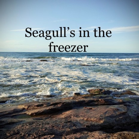 Seagull's in the freezer) ft. Mark Jackson (Mark the monk)
