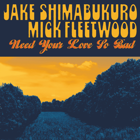 Need Your Love So Bad ft. Mick Fleetwood | Boomplay Music