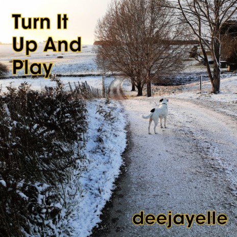 Turn It Up And Play | Boomplay Music
