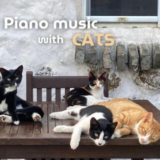 Piano Music with Cats