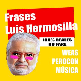 Frases Luis Hermosilla