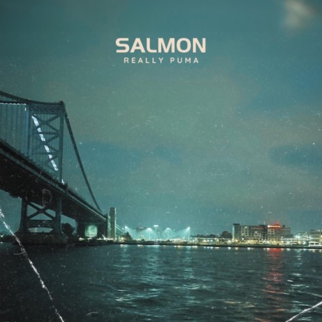 Salmon ft. PUNCHMADEBRON | Boomplay Music