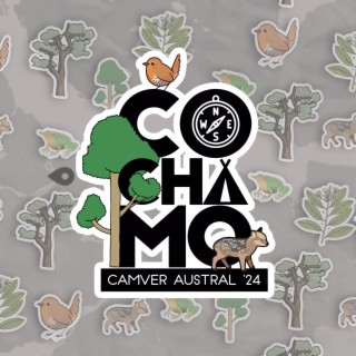 Cochamó Camver Austral '24 | Boomplay Music