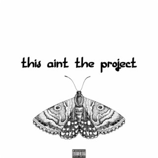 This Aint The Project