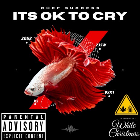 ITS OK TO CRY | Boomplay Music