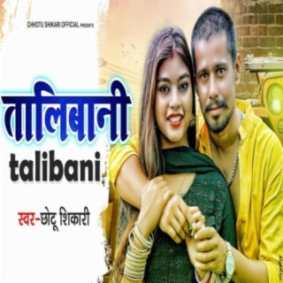 Talibaani