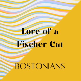 Love of a Fisher Cat