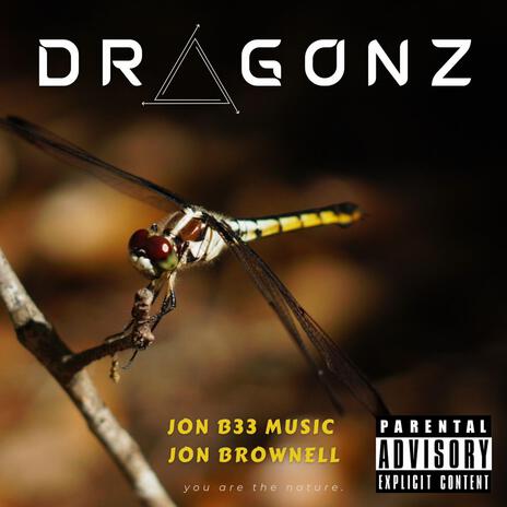 DRAGONFLY LAND ft. JON BROWNELL | Boomplay Music