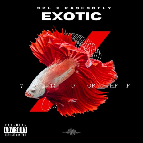 Exotic ft. Rashsofly | Boomplay Music