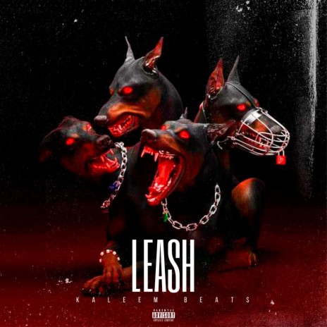 Leash | Boomplay Music