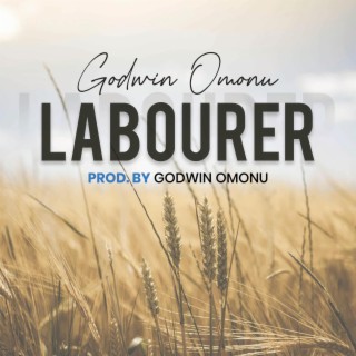 Labourer lyrics | Boomplay Music