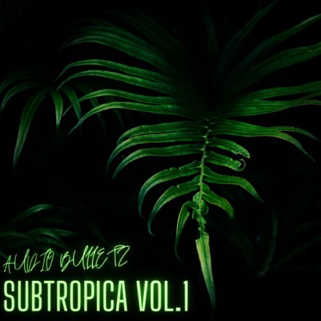 SUBTOP RIDDIM