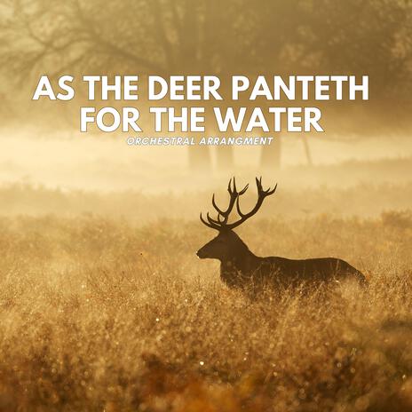 As the Deer Panteth for the Water | Boomplay Music