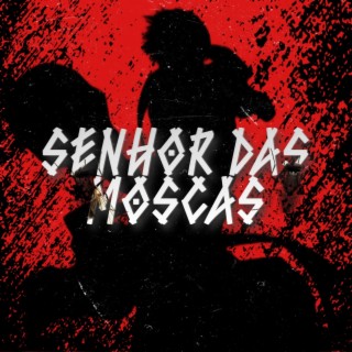 Senhor das moscas