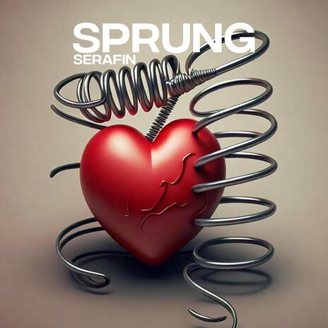 SPRUNG (Extended Mix) | Boomplay Music