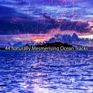 44 Naturally Mesmerising Ocean Tracks