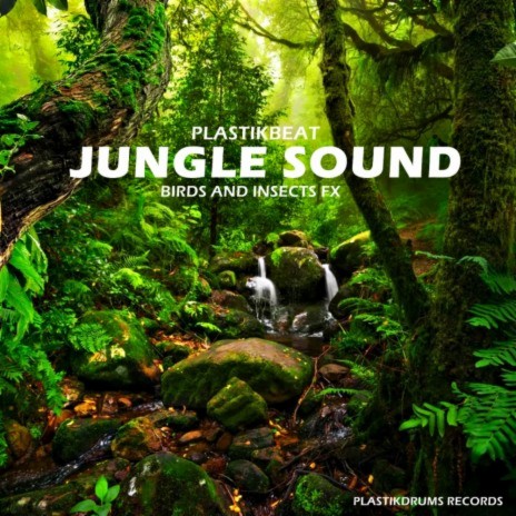 Jungle Sound (Birds and Insects FX) (Original Mix)