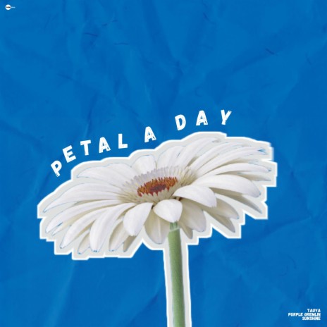 Petal A Day ft. Sunshine & Purple Gremlin | Boomplay Music