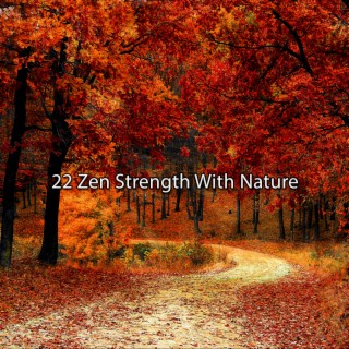 22 Zen Strength With Nature