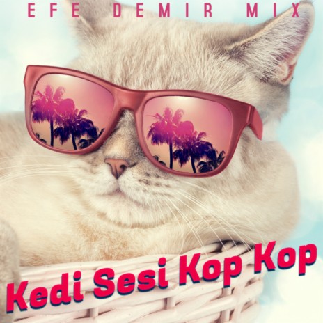 Kedi Sesi Kop Kop (Special Tik tok Mix)