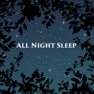All Night Sleep: Healthy Slumber, Cure for Sleep Disorders, Insomnia Cure