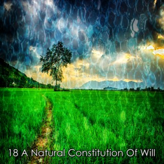 18 Une constitution naturelle de volonté