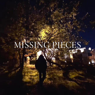 Missing Pieces