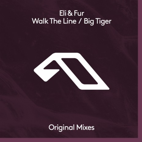 Walk The Line (Extended Mix) | Boomplay Music