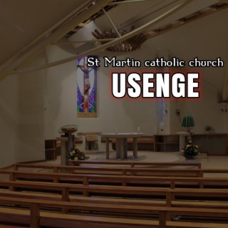 St Martin Catholic Church Usenge