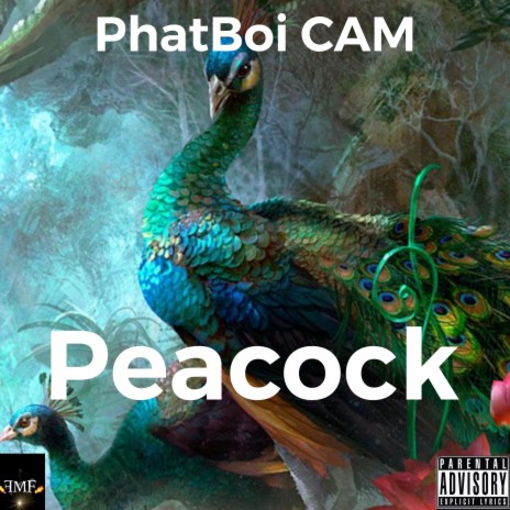 Peacock ft. Stank MoDollas