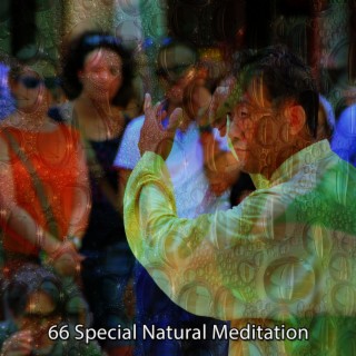 66 Special Natural Meditation