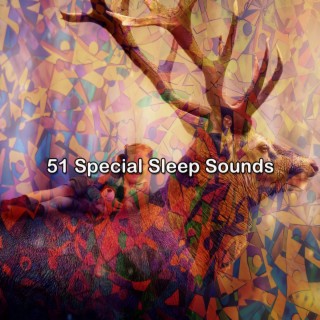 51 Special Sleep Sounds