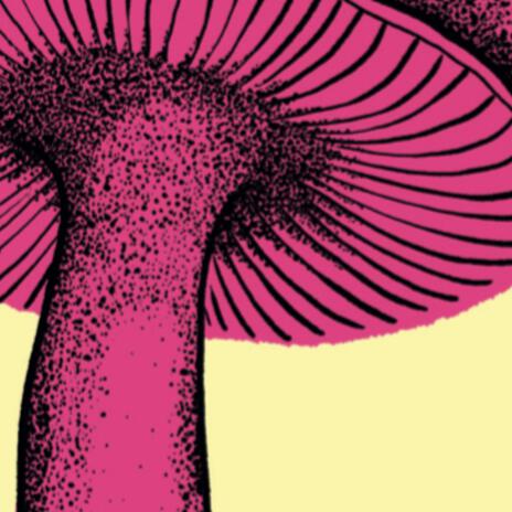 Mushroom (Fantoche International Animation Film Festival 2024) | Boomplay Music