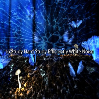 16 Study Hard Study Efficiently White Noise