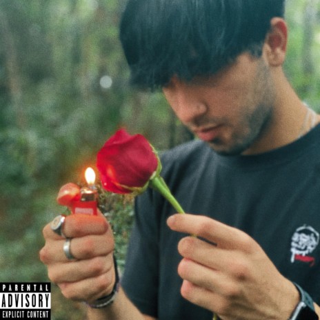 red roses | Boomplay Music