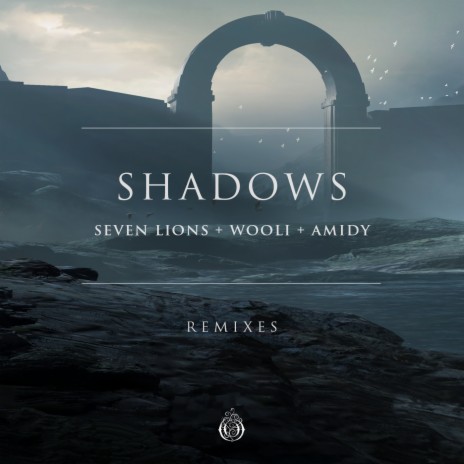 Shadows ft. Wooli & Amidy | Boomplay Music