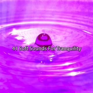 41 Soft Sounds For Tranquility