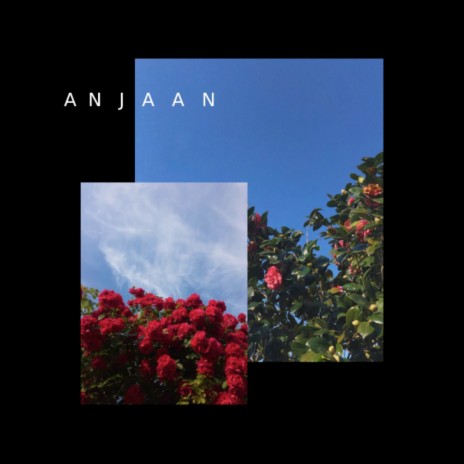 Anjaan ft. superdupersultan, Nabeel Akbar & Talhah Yunus | Boomplay Music